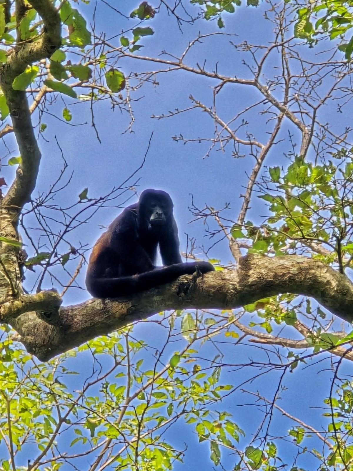 Cabana Rincon De Curubande Liberia Pokoj fotografie